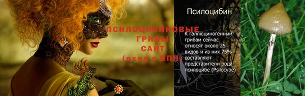 мяу мяу мука Белокуриха