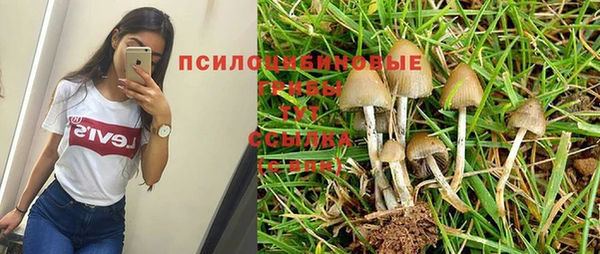 ECSTASY Беломорск