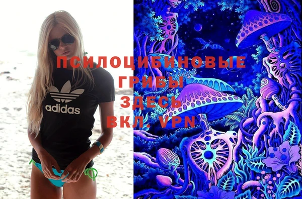 мяу мяу мука Белокуриха